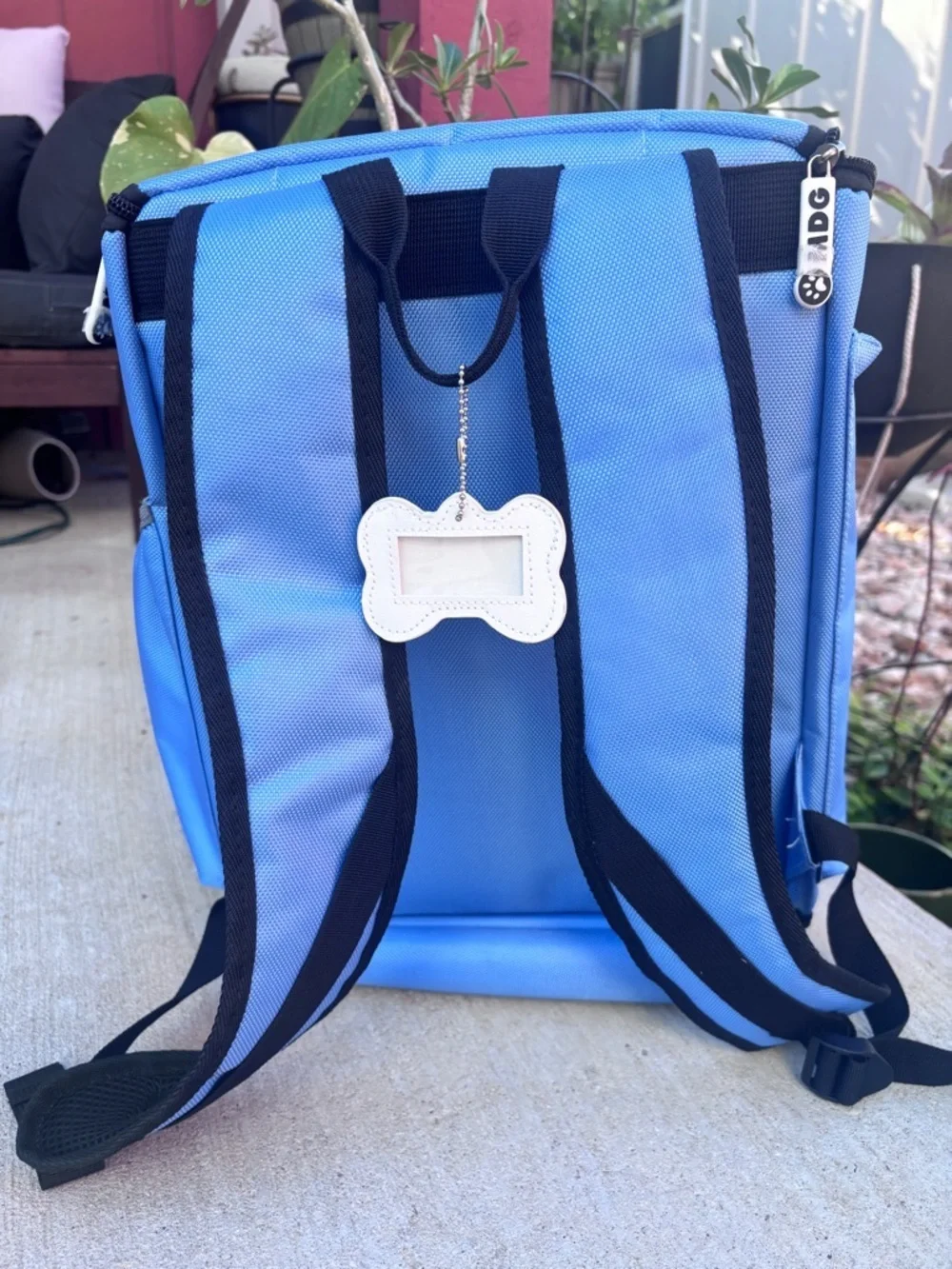 Dog gear this pet